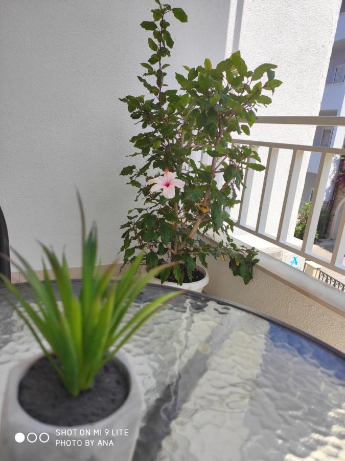 Apartments Jadranka Makarska Eksteriør billede